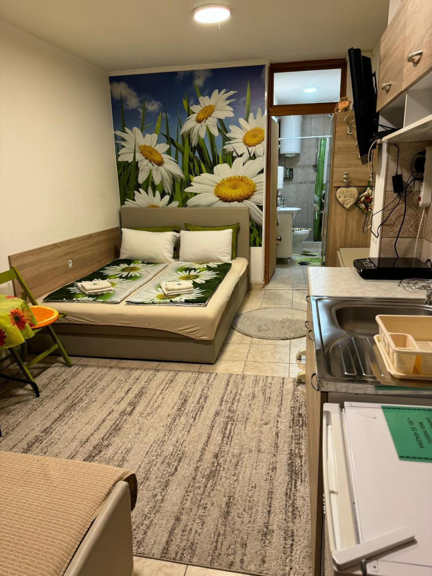 Nela Apartmani Nis Exterior photo