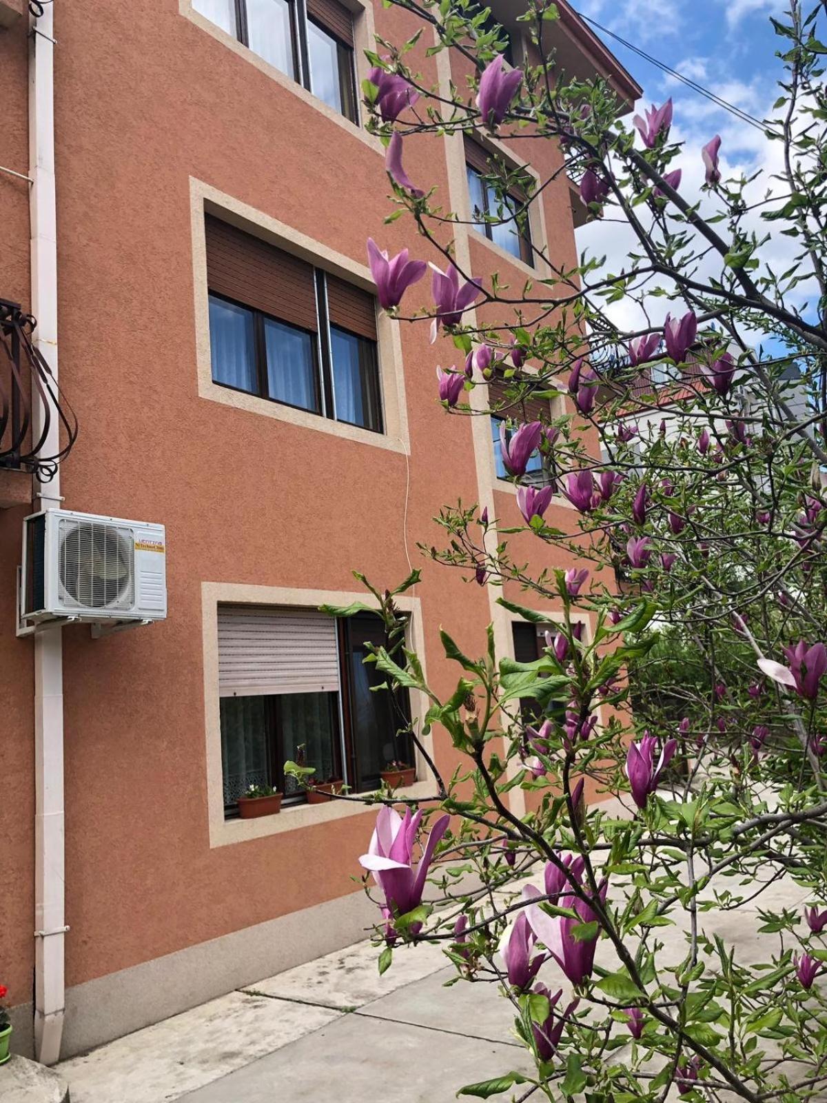 Nela Apartmani Nis Exterior photo